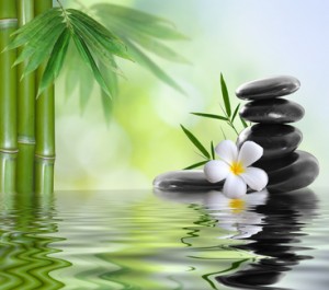 Voulez-vous savoir comment être Zen en adoptant 3 habitudes indispensables ?
